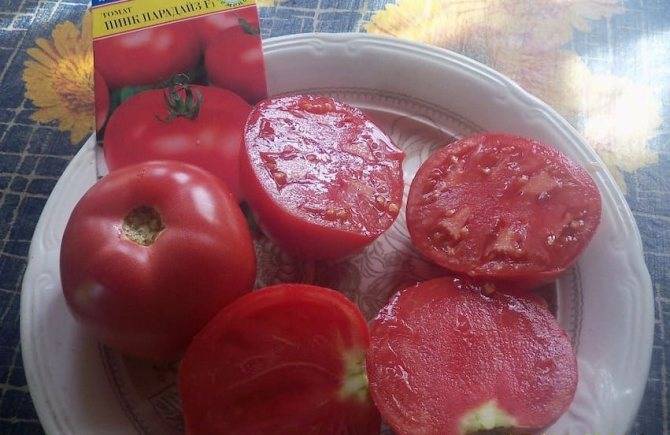 Характеристика и отзывы о сорте томатов андромеда