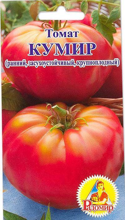 Сорт помидоров «кумир»: отзывы, описание, характеристика, урожайность, фото и видео