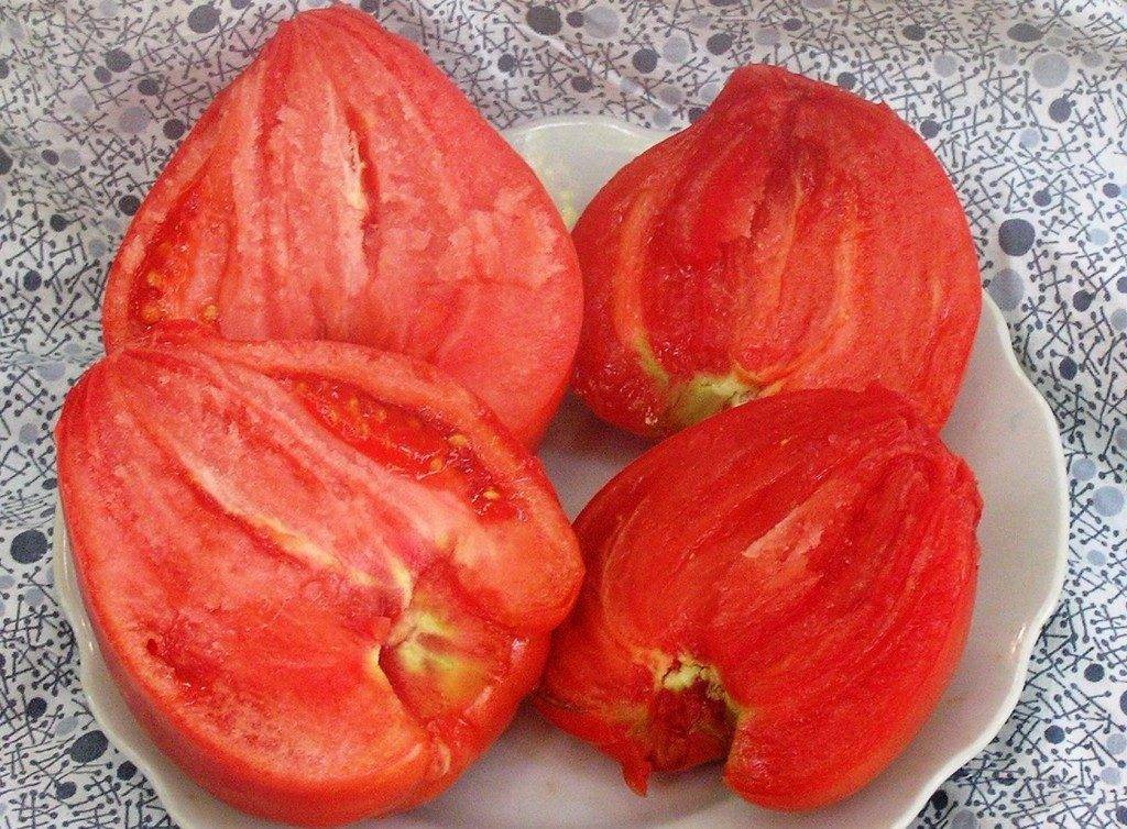 Описание сорта томата Сердечный поцелуй, особенности выращивания и урожайность