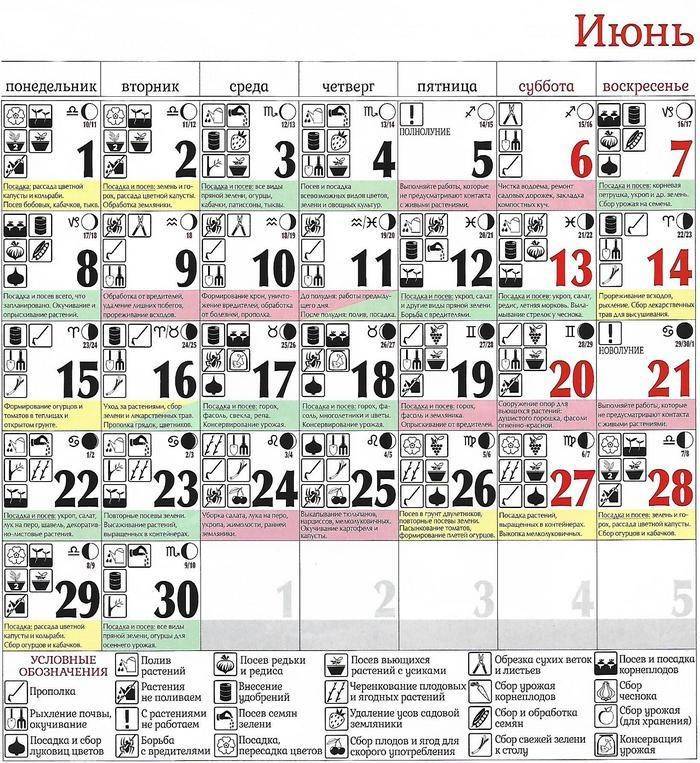Лунный посевной календарь на июнь 2020 для садовода, огородника и цветовода