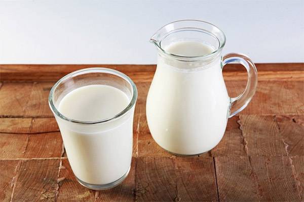 Козье молоко – показания и противопоказания к его употреблению