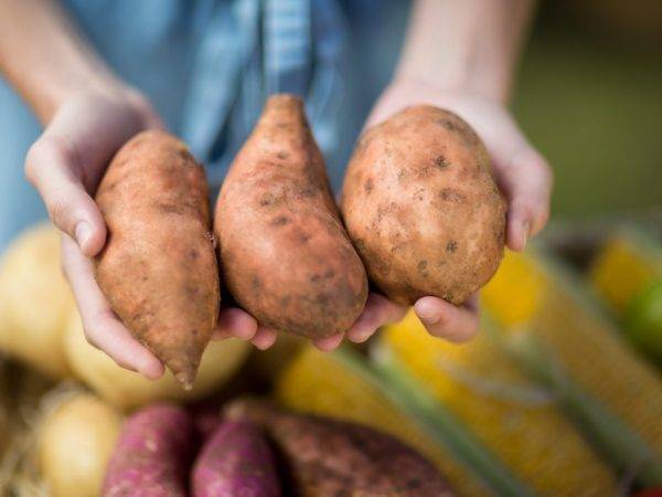 Польза и вред сырого картофеля