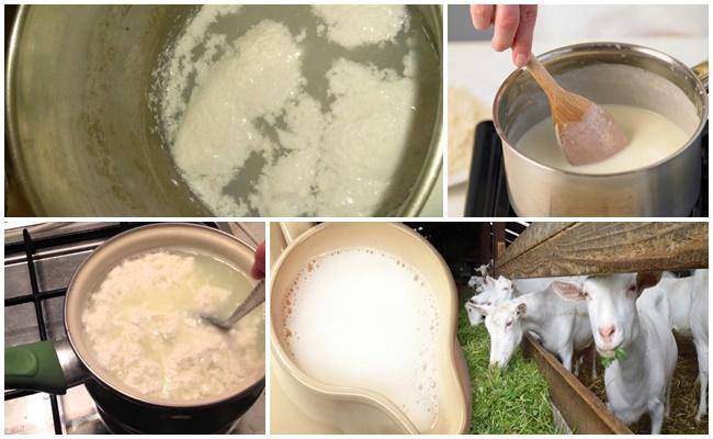 Почему козье молоко сворачивается при кипячении: причины и как избежать