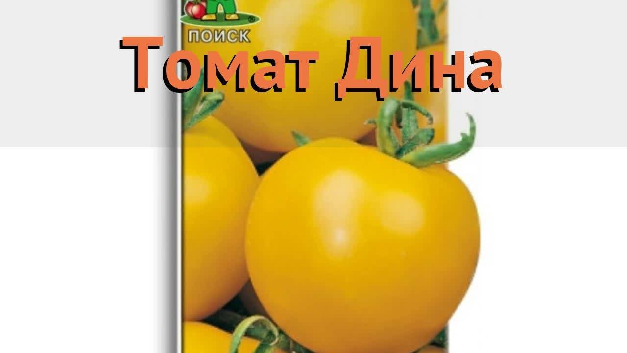 Томат тонопа f1: характеристика и описание сорта, урожайность с фото