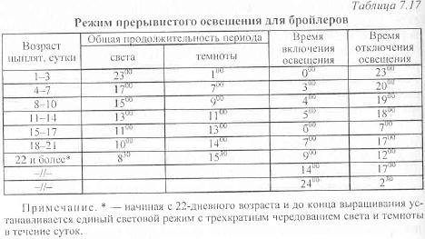Вес бройлеров по дням (таблица)