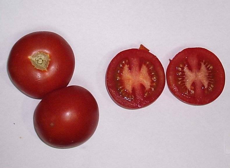 Описание урожайного сорта томата тести f1 и его выращивание