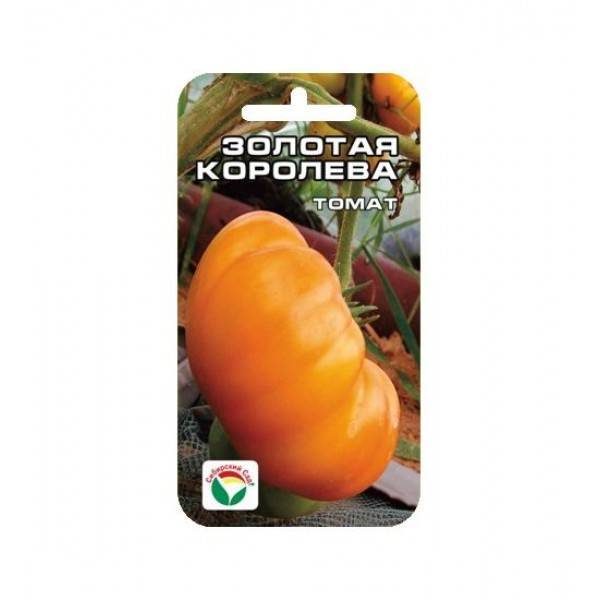 Королева рынка – крупноплодный урожайный томат. характеристики сорта, отзывы садоводов