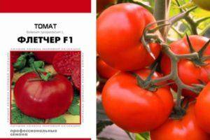 Описание сорта томата пламя агро, особенности выращивания и ухода