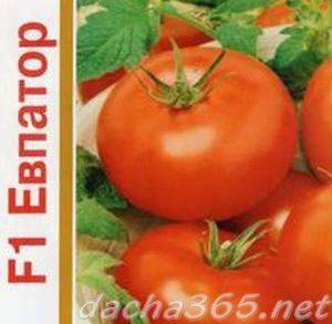 Томат евпатор f1: отзывы, фото, описание и выращивание