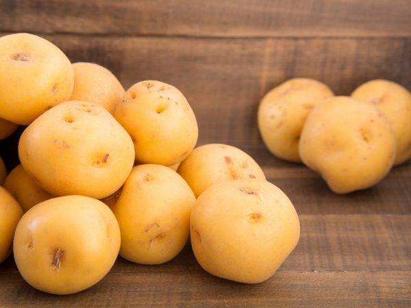 30 топ ранних сортов картофеля с описанием, вкусовыми качествами, фото и отзывами