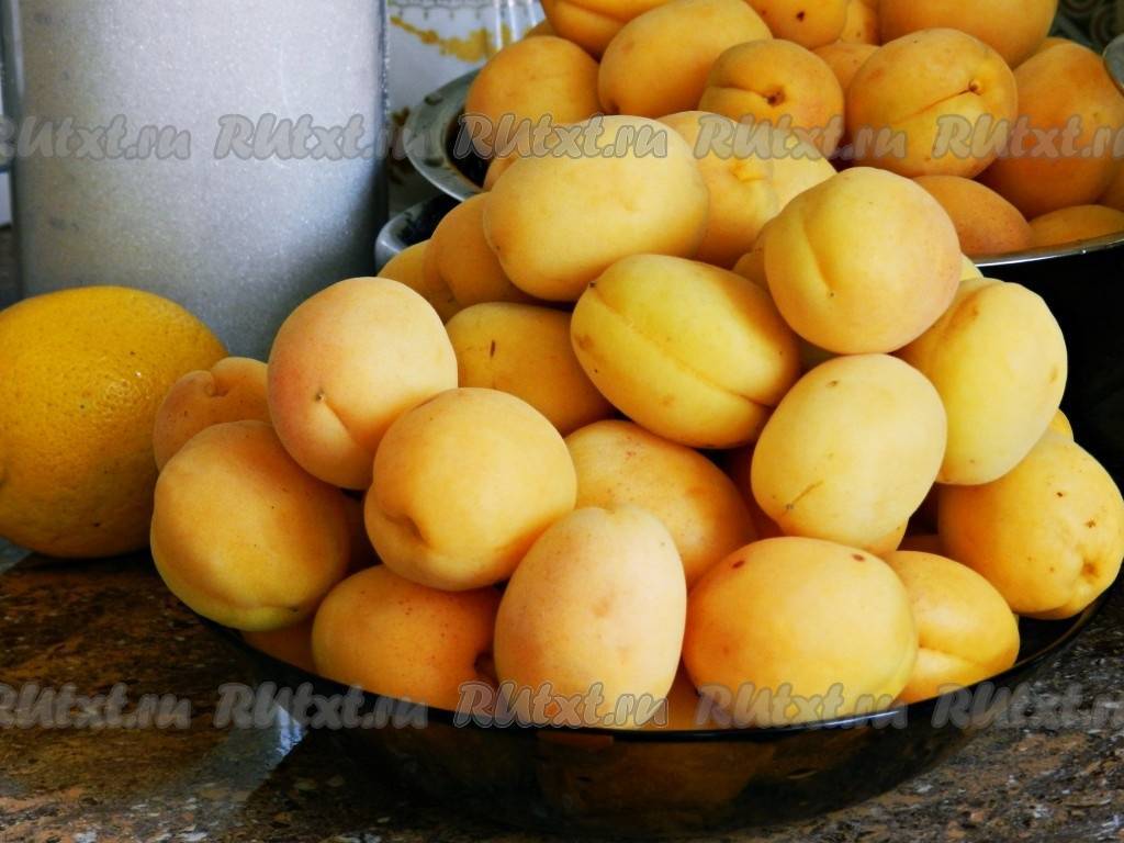 Топ 12 рецептов приготовления абрикосов в сиропе дольками на зиму