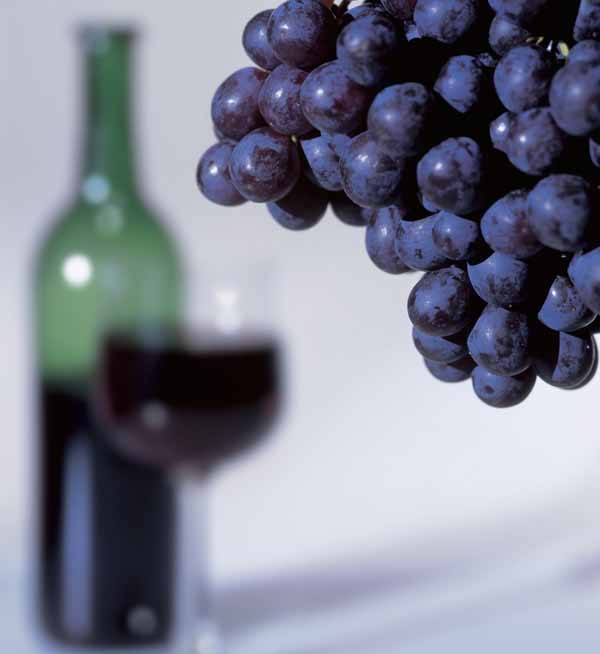 4 простых рецепта, как сделать гранатовое вино в домашних условиях