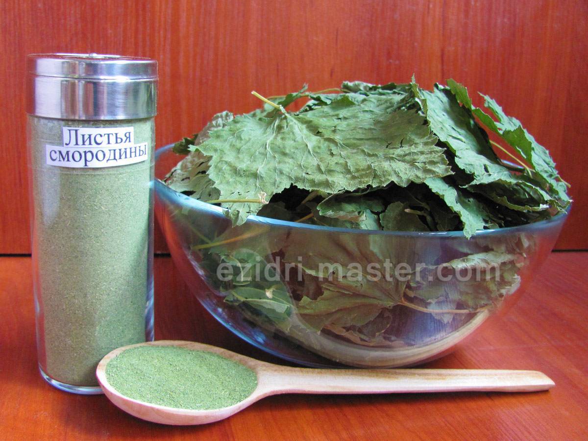 Лучше магазинного чая: как превратить листья малины и смородины в заварку