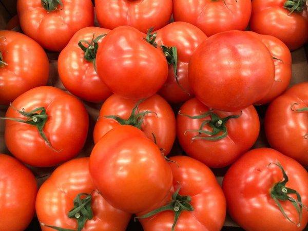 Железная леди: описание сорта томата, характеристики помидоров, посев