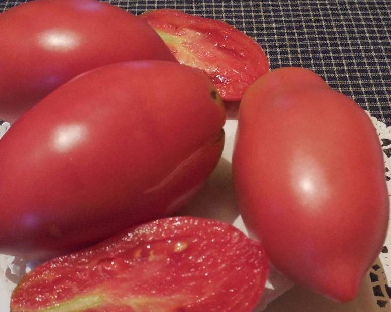 Характеристики и описание сорта томатов черный принц