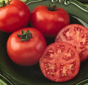 Сорт томата «де барао красный»: описание, характеристика, посев на рассаду, подкормка, урожайность, фото, видео и самые распространенные болезни томатов
