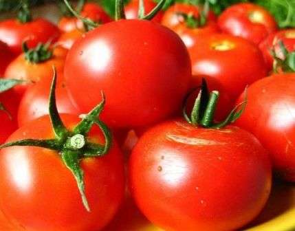 Подготовка семян помидор к посадке на рассаду: обработка, как замачивать