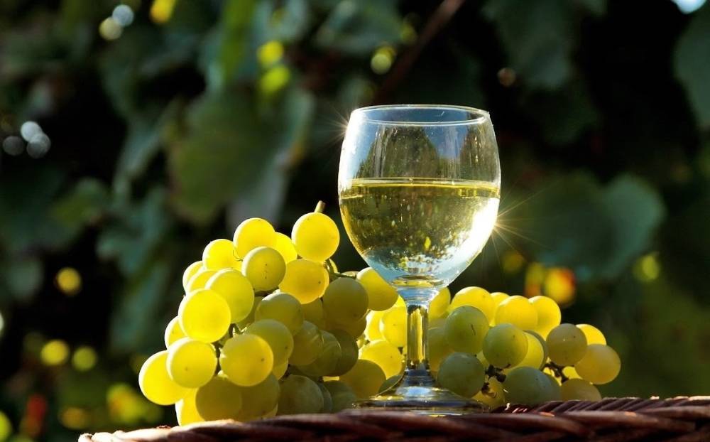 Вино из винограда в домашних условиях - 5 простых рецептов с фото пошагово