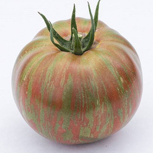 Особенности и описание сорта национальных томатов: выращиваем «русский размер» f1