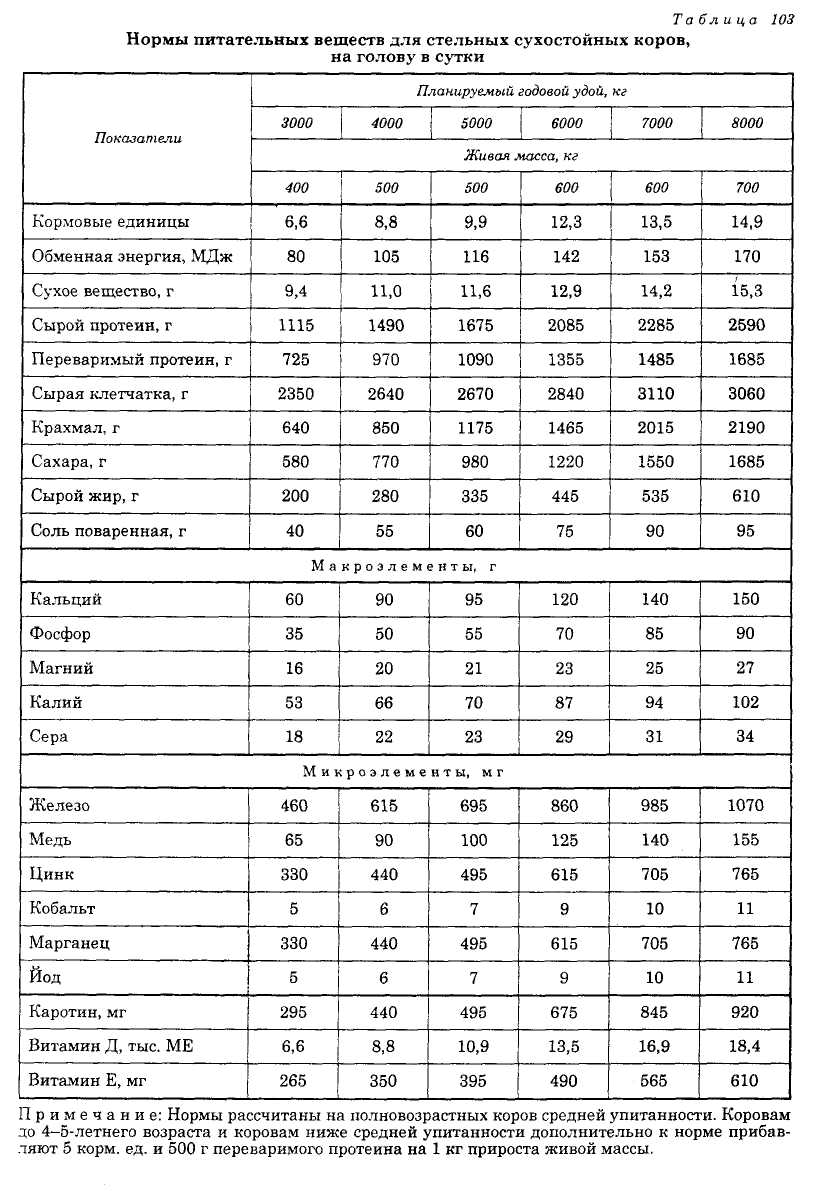 Кормление крупного рогатого скота: как выбрать правильный рацион
