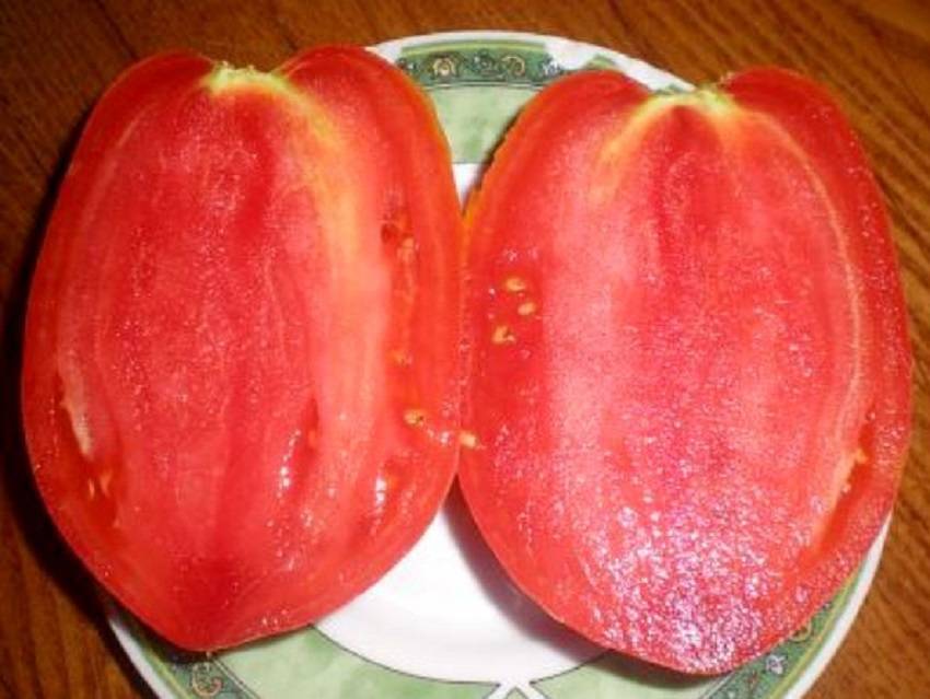 Сорт томатов розовый фламинго: важные особенности и опыт выращивания