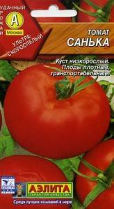 Томат санька — 110 фото основных характеристик и секреты ухода за томатами сорта санька
