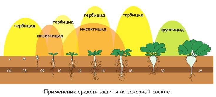 Ликвидатор от сорняков — инструкция по применению гербицида