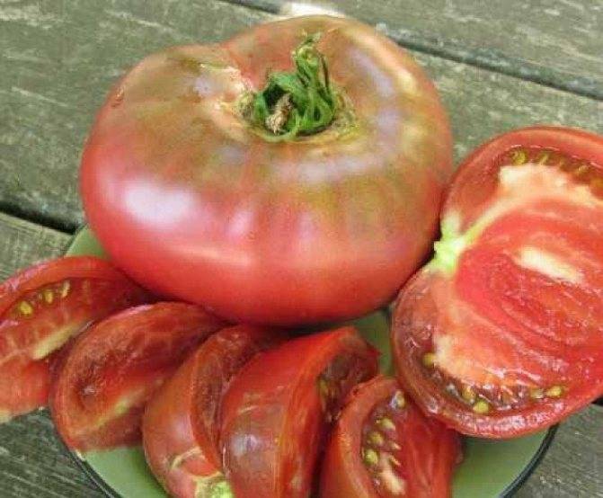 Сорт томатов бабушкино