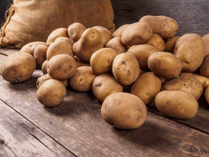 Как бороться с картофельной нематодой в огороде?