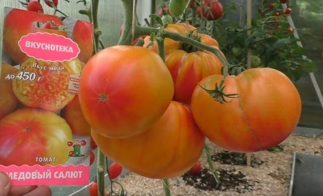 Характеристика и описание сорта томата Клубничный Десерт, его урожайность