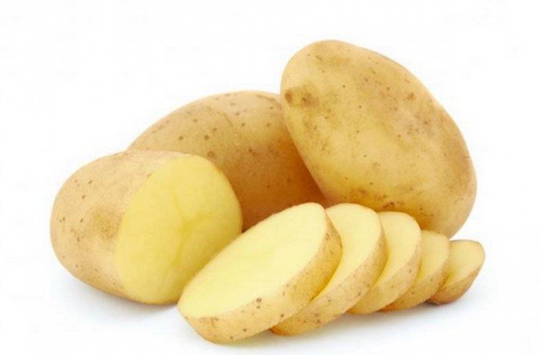Картофель уладар: описание и характеристики сорта