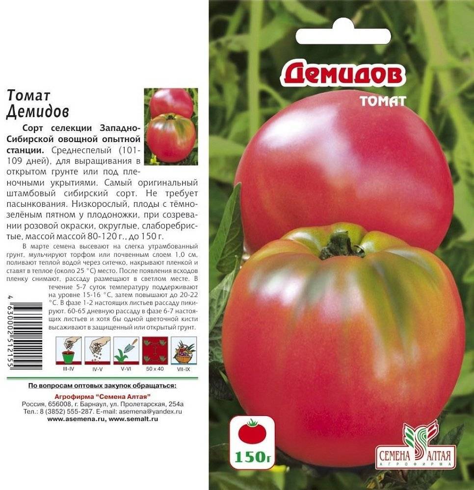 Особенности выращивания томатов сорта демидов