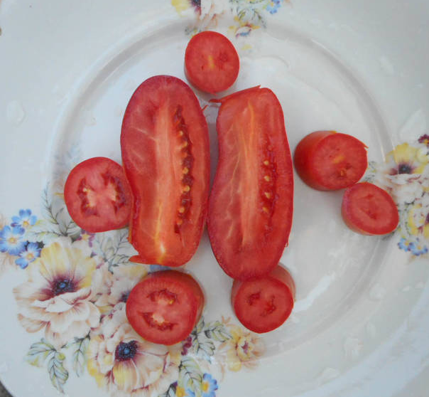 Характеристика и описание сорта томата Веселый гном, его урожайность