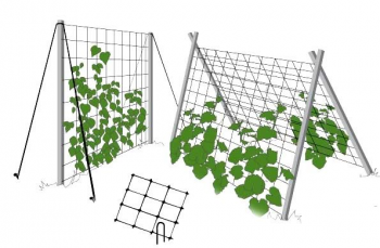 Сетка для огурцов: как правильно натянуть, установить и использовать для подвязки и выращивания овощей (95 фото + видео)