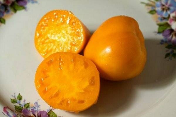 Томат золотое сердце — необычный сорт с сердцевидными золотисто-оранжевыми плодами