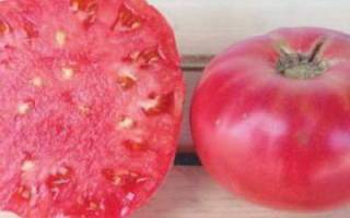 «де барао красный» — украшение вашего участка и высокий урожай томатов