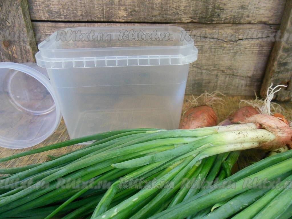 15 лучших рецептов приготовления маринованного зеленого лука на зиму