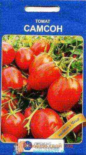 Характеристики, достоинства, особенности выращивания гибридного томата «кострома»