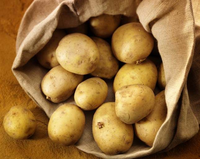 Любимый фермерами за простоту в уходе и урожайность сорт картофеля ласунок