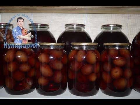 Сливы без косточек в сиропе на зиму