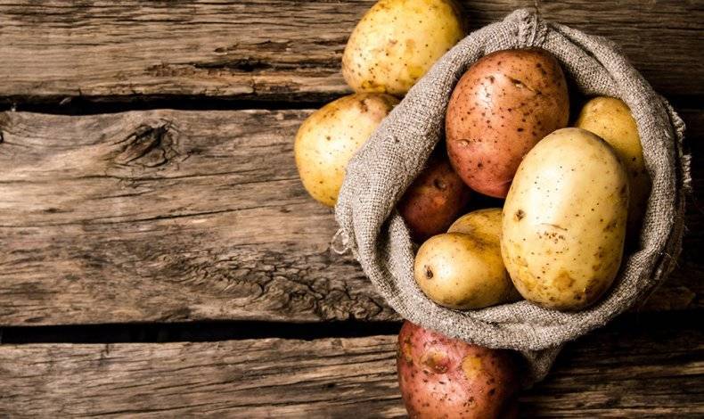 Картофель польза и вред для организма