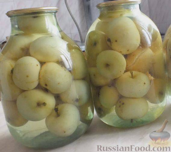 Компот из яблок и смородины на зиму: простой рецепт с фото и видео