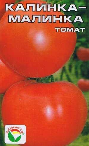 Томат славянин: характеристика и описание сорта, урожайность с фото