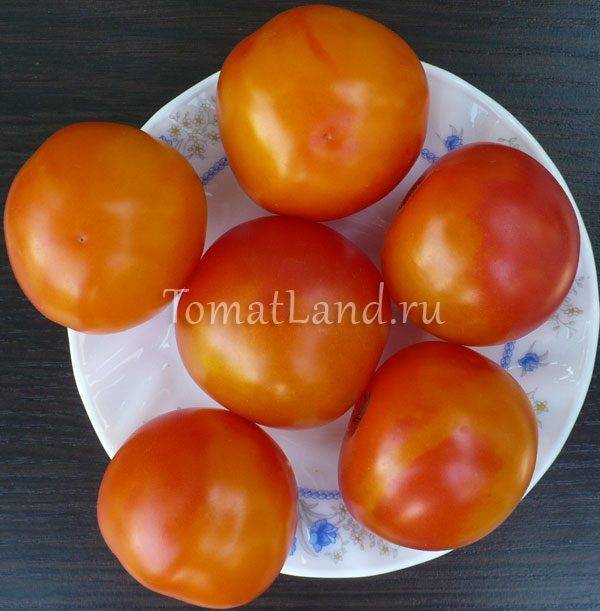 Описание сорта томата вано, его характеристика и урожайность