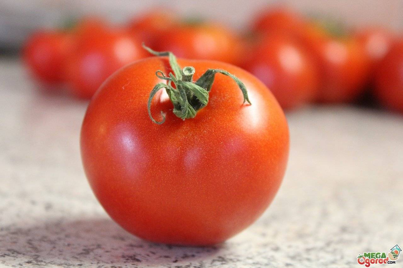 Какой витамин содержится в помидоре и делает этот овощ одним из самых полезных для нашего организма