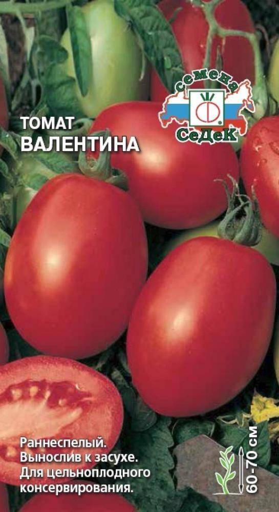 Описание и характеристики сорта томата валентина, его урожайность
