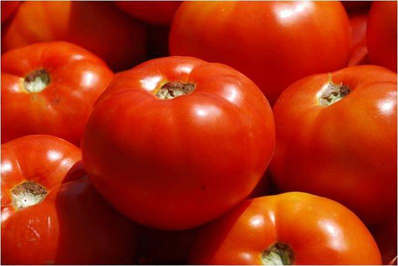 Замечательный салатный томат черри оливка: описание сорта и отзывы об урожайности помидоров