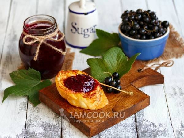Протертая смородина с сахаром без варки на зиму: проверенный рецепты с фото