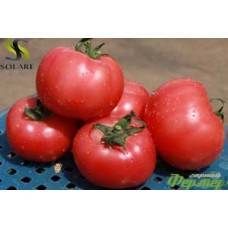 Технология выращивания томатов в ведрах