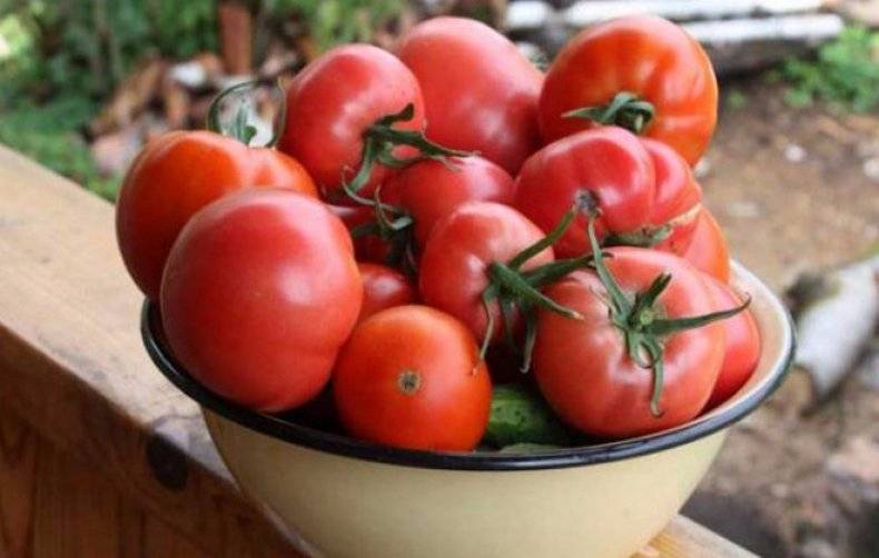 Высокая урожайность при минимальных затратах — томат «спасская башня f1»: отзывы огородников и секреты выращивания